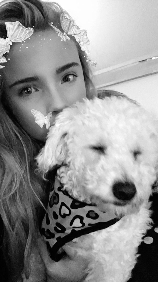 shakiraporterxo's tweet photo. my doggies 2 ππΆβ€οΈ #favedog https://t.co/l6MNFlkTtM