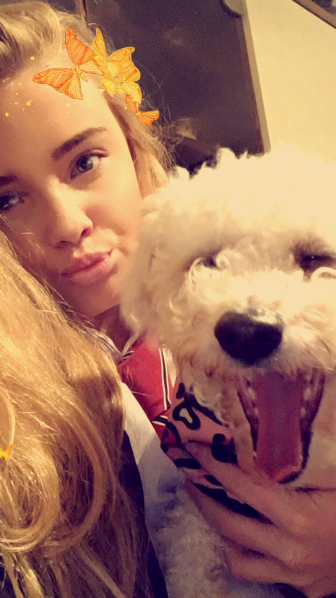shakiraporterxo's tweet photo. my doggies 2 ππΆβ€οΈ #favedog https://t.co/l6MNFlkTtM