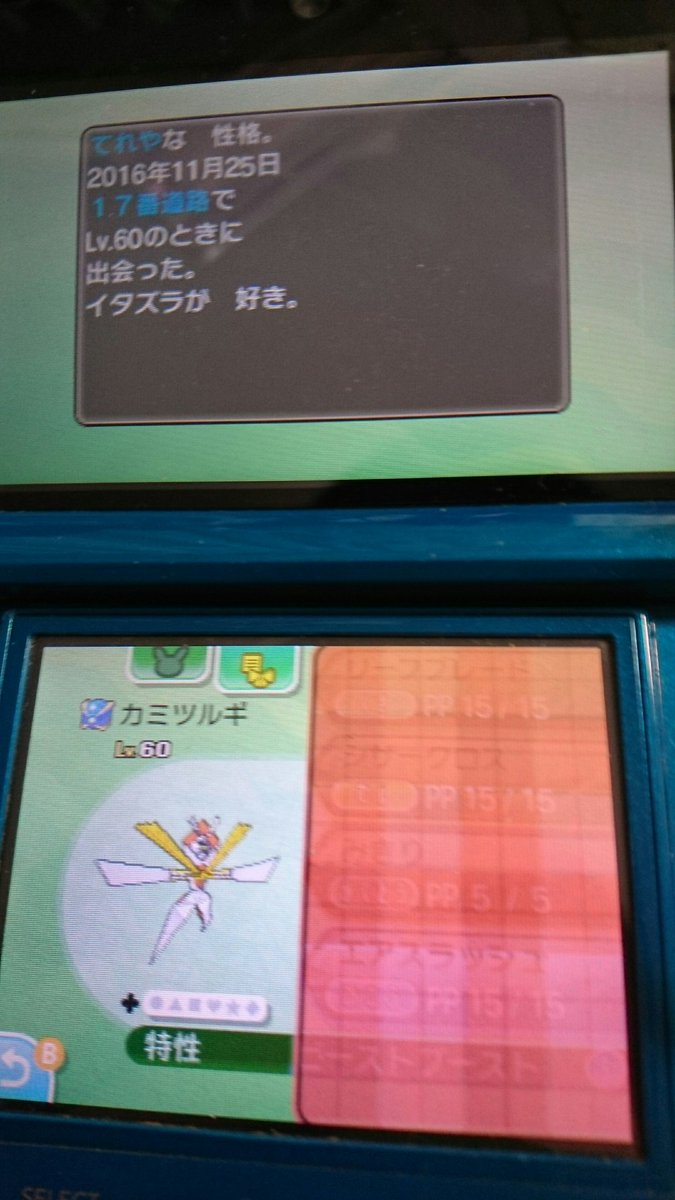 ポケモン サン Or 出 Ubカミツルギlv 60 ステータスなどは写真を見てください 求 ポケルスの付いているポケモン よろしくお願いします ポケモンサンムーン