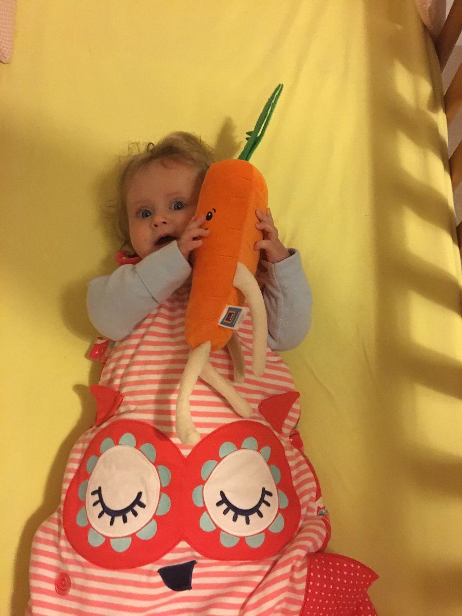 cocoloco07's tweet photo. @AldiUK  Very happy wee women off to bed with Kevin #KevinThursday #kevinthecarrot https://t.co/IKhG8nKMph