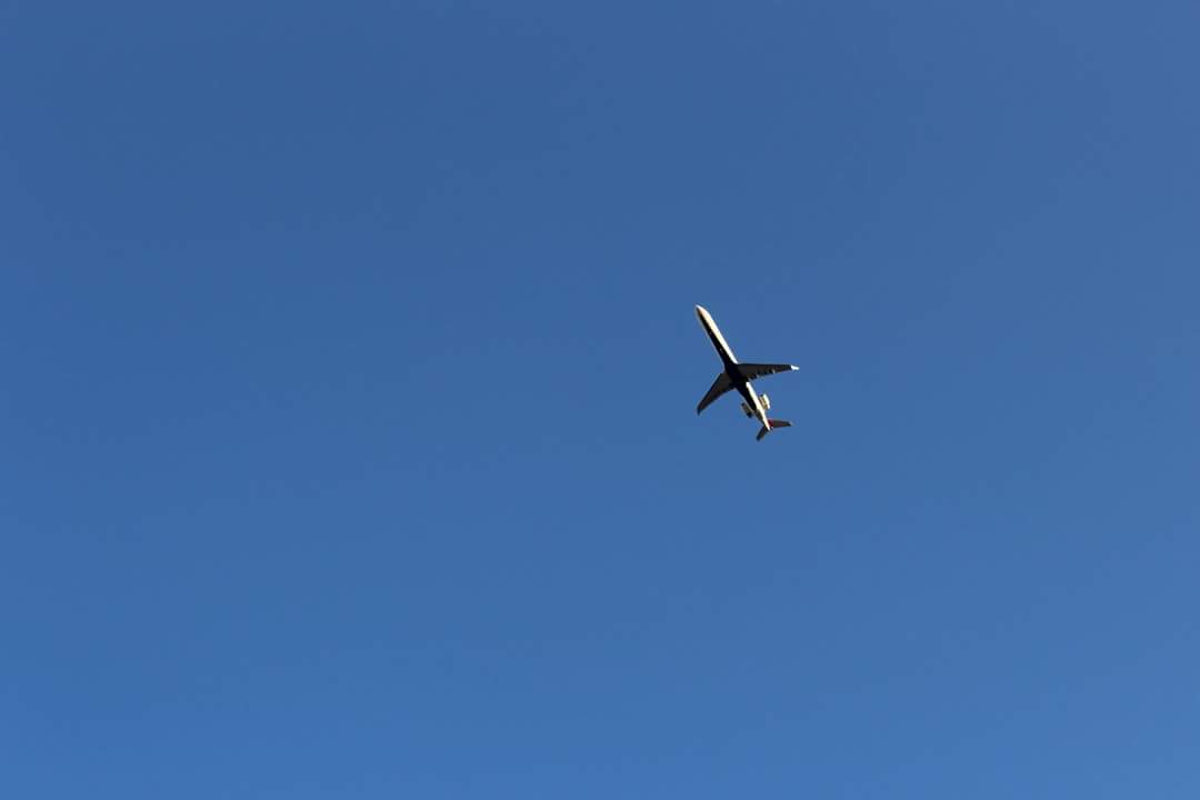 pixiehipster's tweet image. "I'm thankful for cameras!"