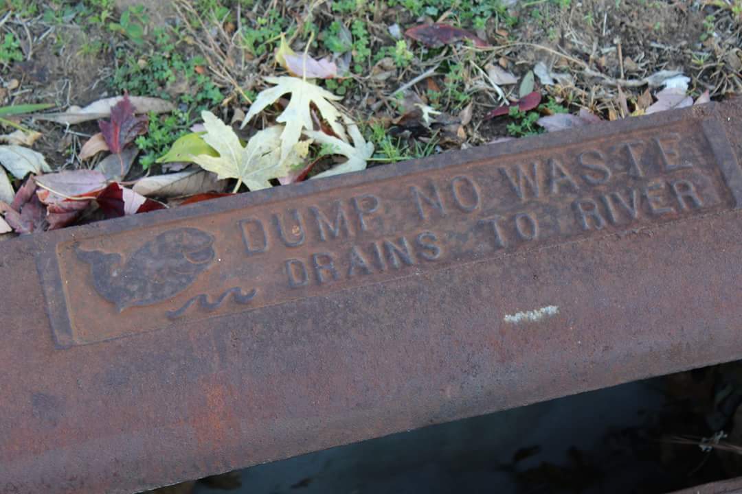 pixiehipster's tweet image. "I'm thankful for cameras!"