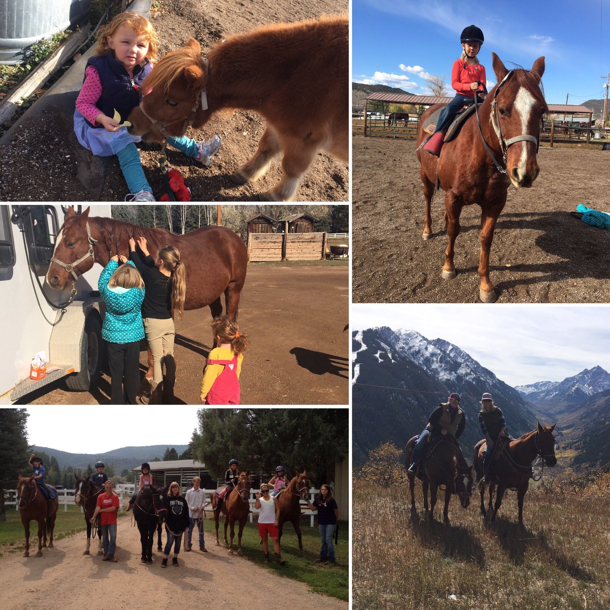 SoprisTherapy's tweet photo. From our family to yours... wishing you a Happy Thanksgiving! #horsesaremytherapy https://t.co/svVOKYYjaT