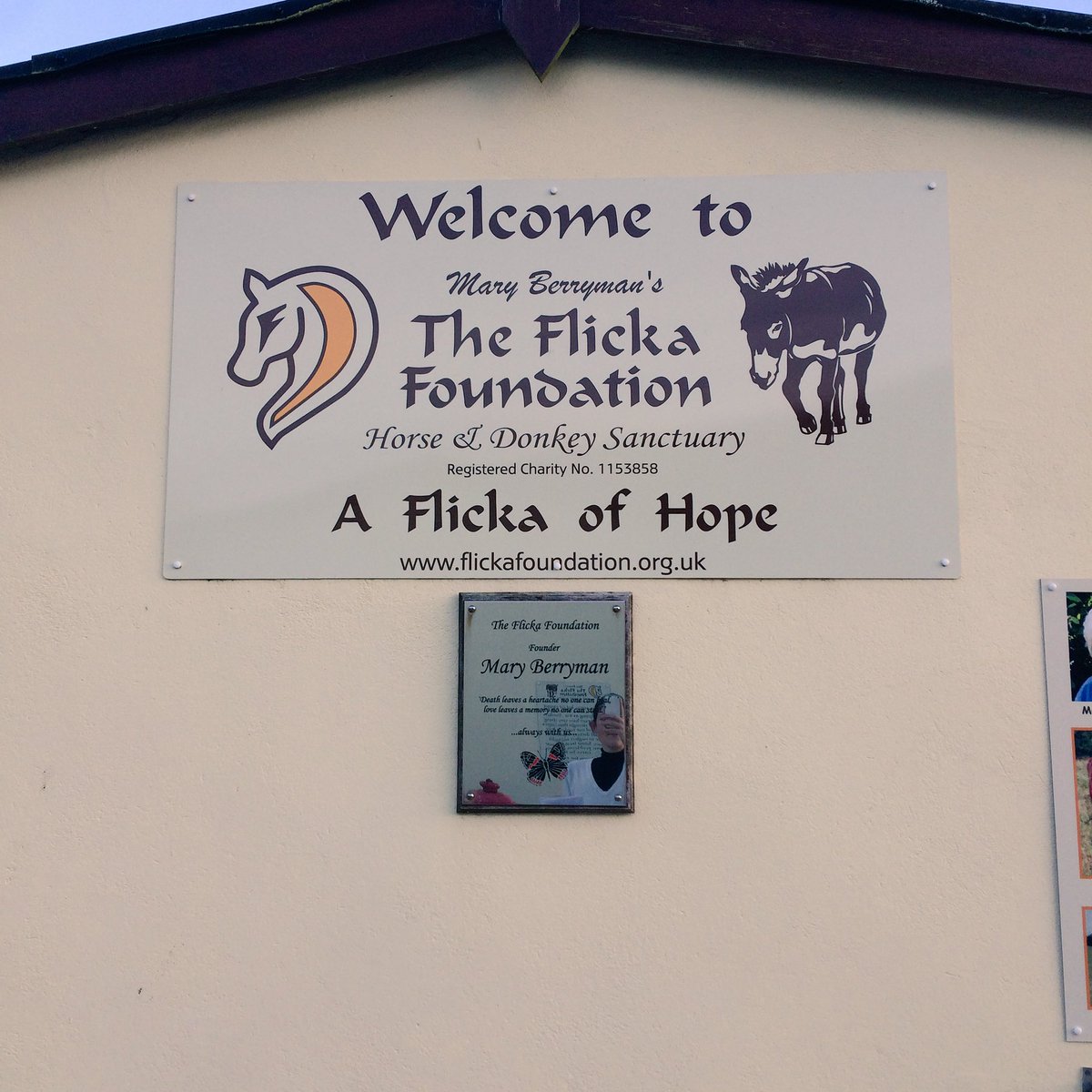 FalmouthHotel's tweet photo. Looking forward to seeing the Donkeys from #flickafoundation at our Christmas market on 4th December free entry to all with over 40 stalls https://t.co/nh3QspQ1pS
