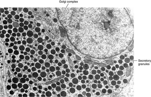 OyeMariaa's tweet photo. When your a trypophobic and studying medicine. You're used to getting triggered almost all the time. https://t.co/iGsBsNV4yi