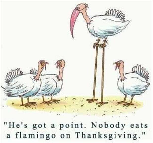 ChickenChirps's tweet photo. Happy Thanksgiving! #Thanksgiving https://t.co/w2gRtJUVq4