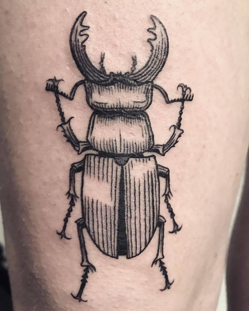 130 Scarab Beetle Tattoos Background Illustrations RoyaltyFree Vector  Graphics  Clip Art  iStock