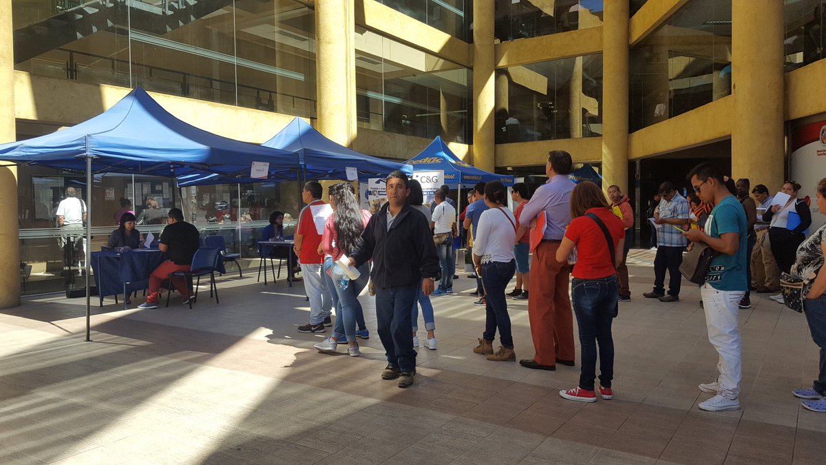Muni en Terreno tweet media