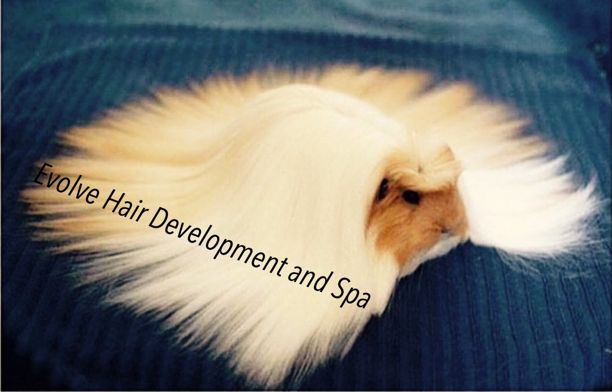 gerbk's tweet photo. Only if animals used @olaplex https://t.co/uPvi9c7Q4z