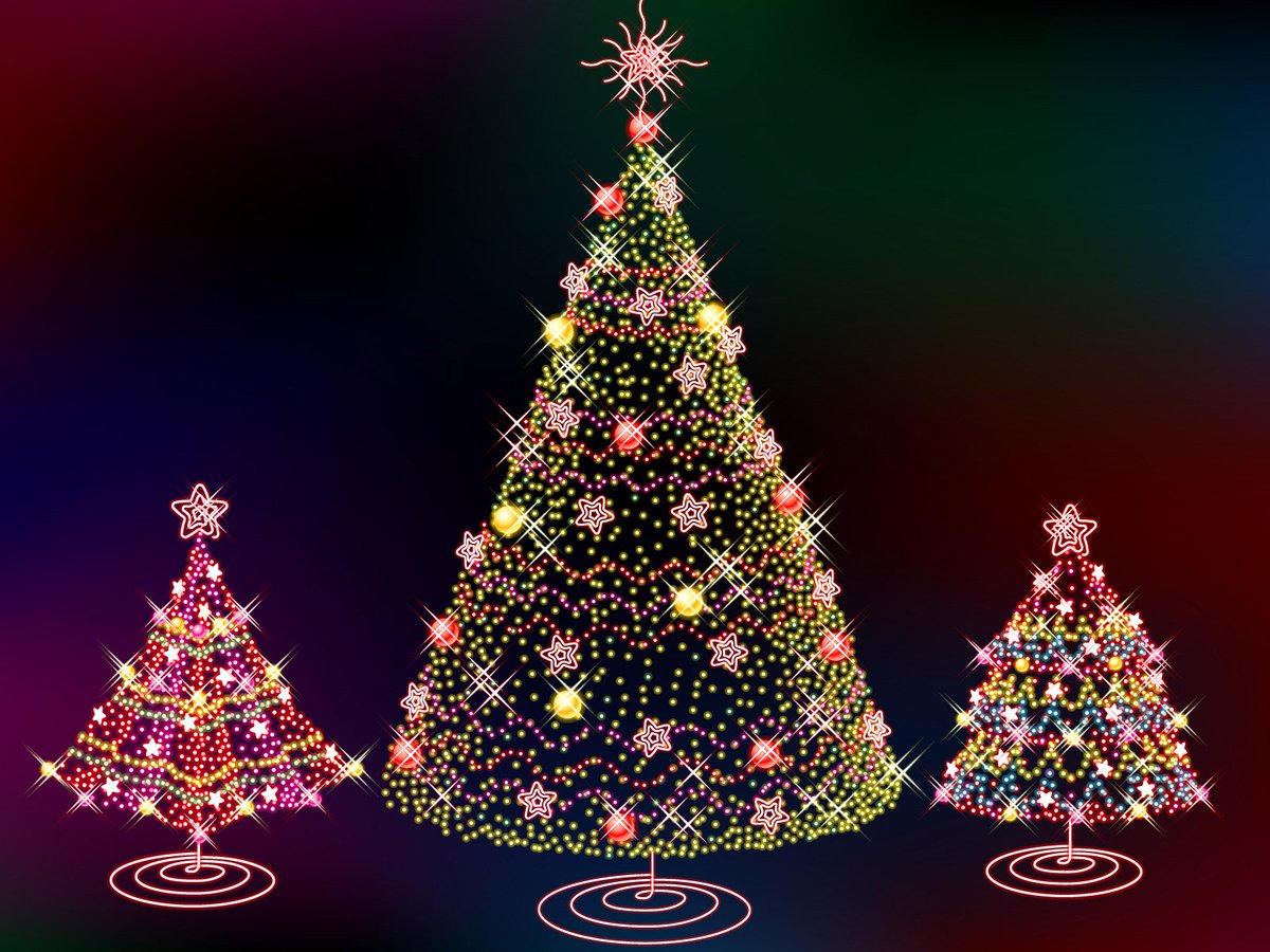 The christmas trees will be on sale from Thursday 1st December. Drop and non-drop from just £20. It's getting nearer!!