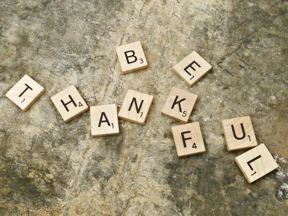 PropertyBoss's tweet image. #HappyThanksgiving, from our family to yours!