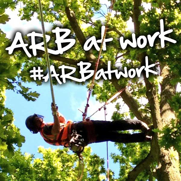ArbAssociation tweet picture