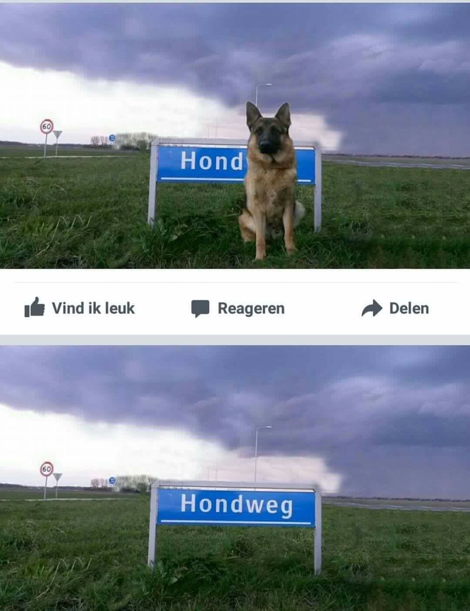 Ken je die grap van de hondweg..? #lol 😂😂