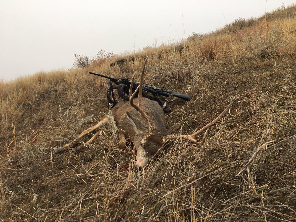 JayPresti's tweet photo. Thanksgiving in @southdakota . Amazing week filming in this hunters paradise. https://t.co/5I3R7qb9N1