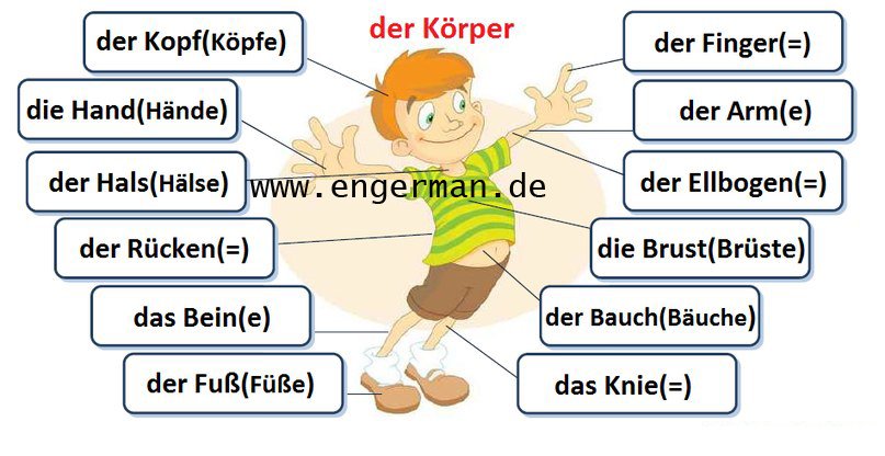 learngermann tweet picture