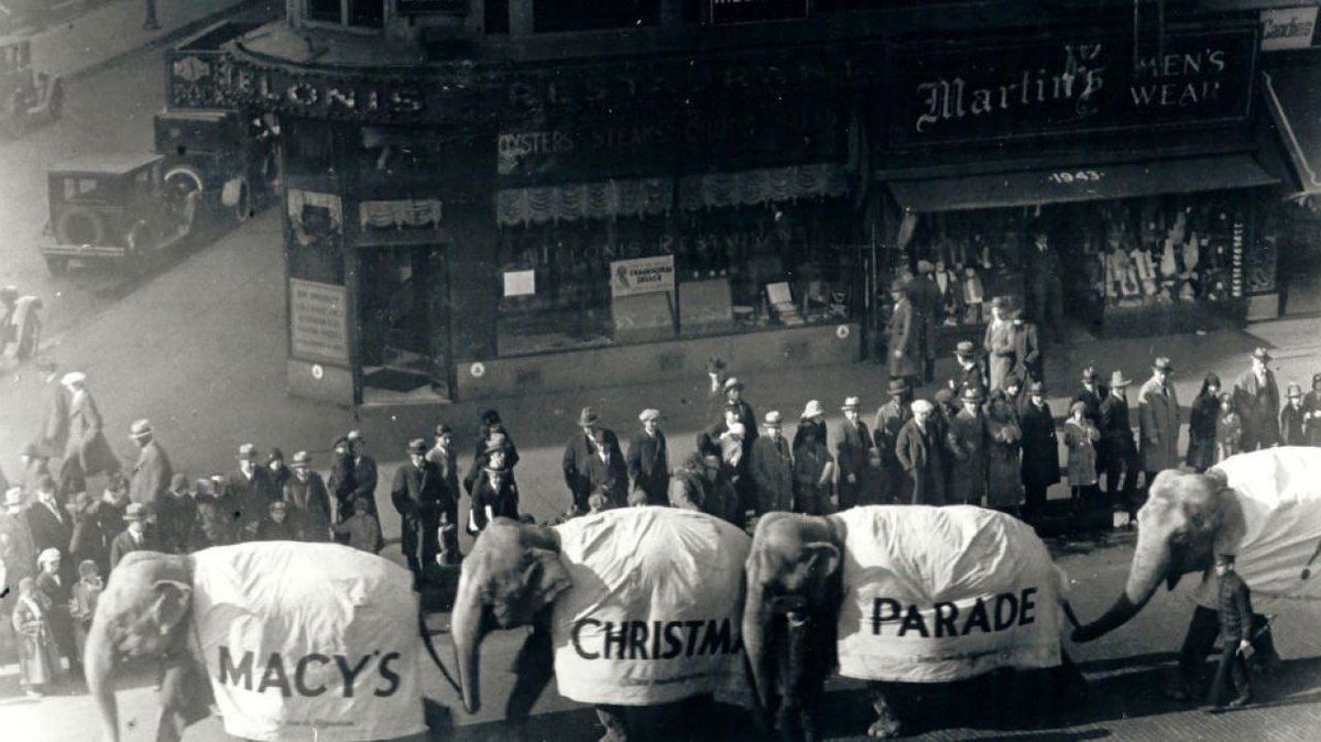 amNewYork's tweet photo. Circus animals used to walk in the Macy's Thanksgiving Day Parade https://t.co/fVP0UE3jJX #secretsofny https://t.co/djVB7BmU47