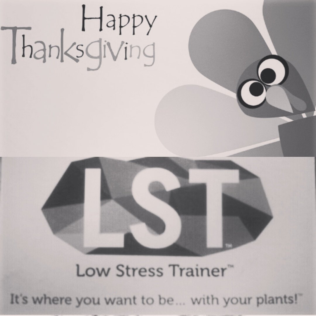LSTgrowkit's tweet photo. Happy Thanksgiving to everyone from Low Stress Training Products LLC. https://t.co/3xqZvoeETb #LST #LowStressTrainer #LSTtops #Grow420Guide https://t.co/KEz6J5UvhC