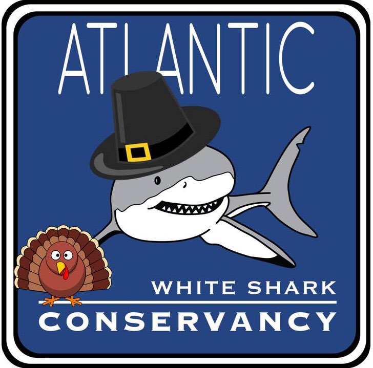 A_WhiteShark's tweet photo. Happy Thanksgiving! https://t.co/x8GtwREi4m