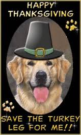 Happy Thanksgiving To All Our American Friends!! #happythanksgiving #American #givethanks #ThisAndThatCanineCo #TheSnackStation