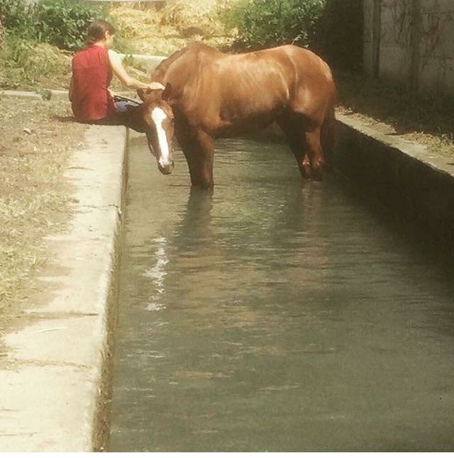 Je pense à toi tout les jours, tu me manque #mystar #myangel #moncheval #kautosweety #Imissyou