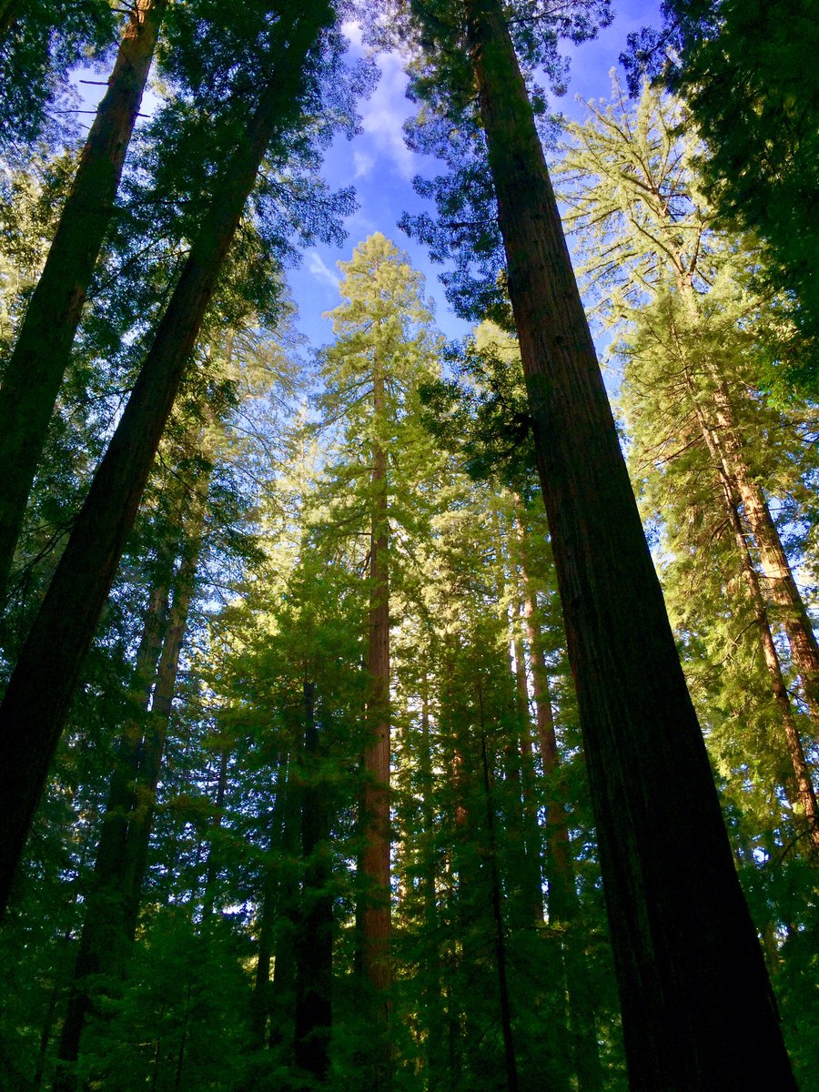 GroovyBruce's tweet photo. There's always something to be grateful for. https://t.co/m6kKpPZqtd