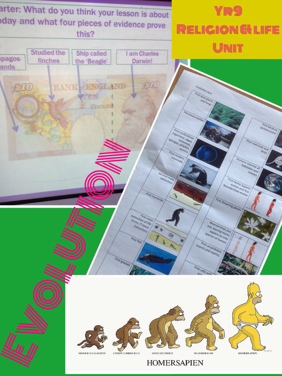 MrsKoonerUnity's tweet image. Year 9 @UnityBlackpool have been looking at the #evolution theory for the religion &amp;amp; life unit