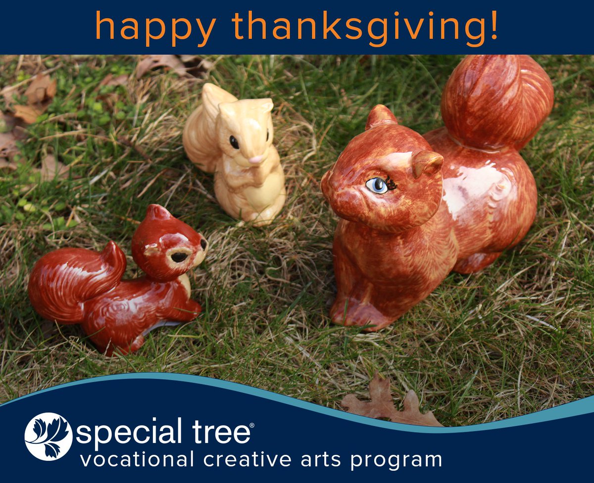 SpecialTree's tweet photo. Wishing everyone a safe and Happy Thanksgiving! https://t.co/2Hm7TgT589