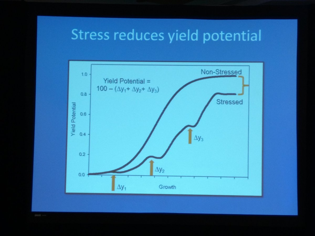 Very early presence of weeds has irreversible effect on yield, before "competition" actually occurs, says Clarence Swanton. #cwss_scm