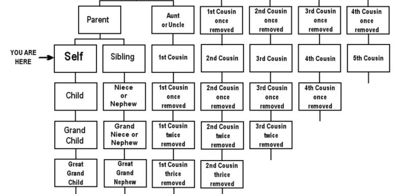 1st Cousin Once Removed Chart