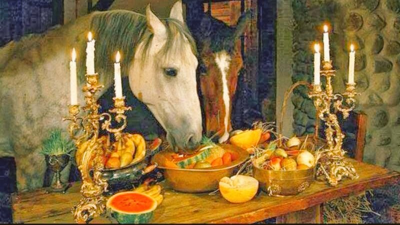 QueenieShows's tweet photo. Happy Thanksgiving to all our friends (even our four-legged ones)! https://t.co/Uh65aRC578