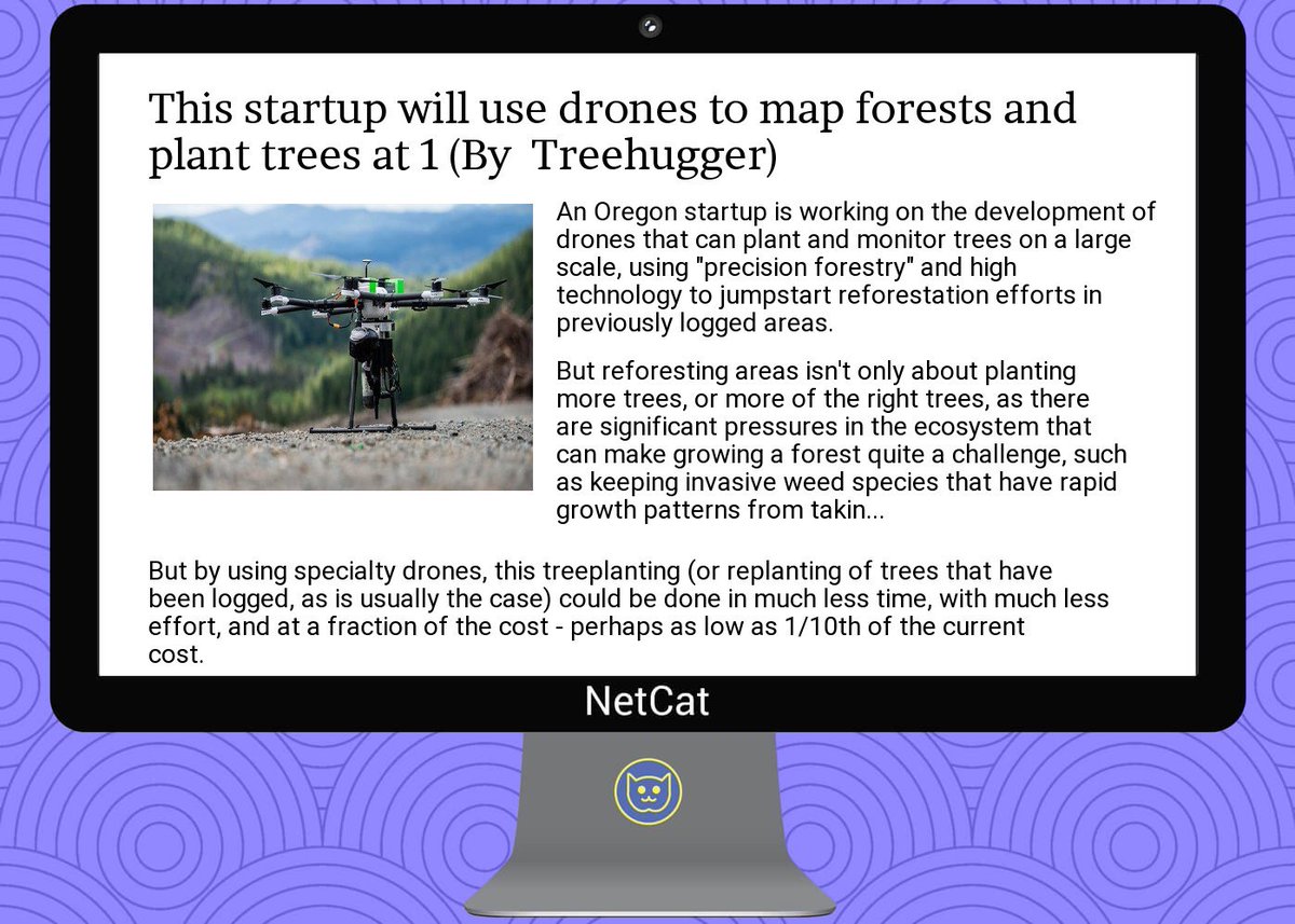 NetCatStartup's tweet image. #startup #summary: this  #startup will use  #drones to map  #forests and  #plant  #trees at 1