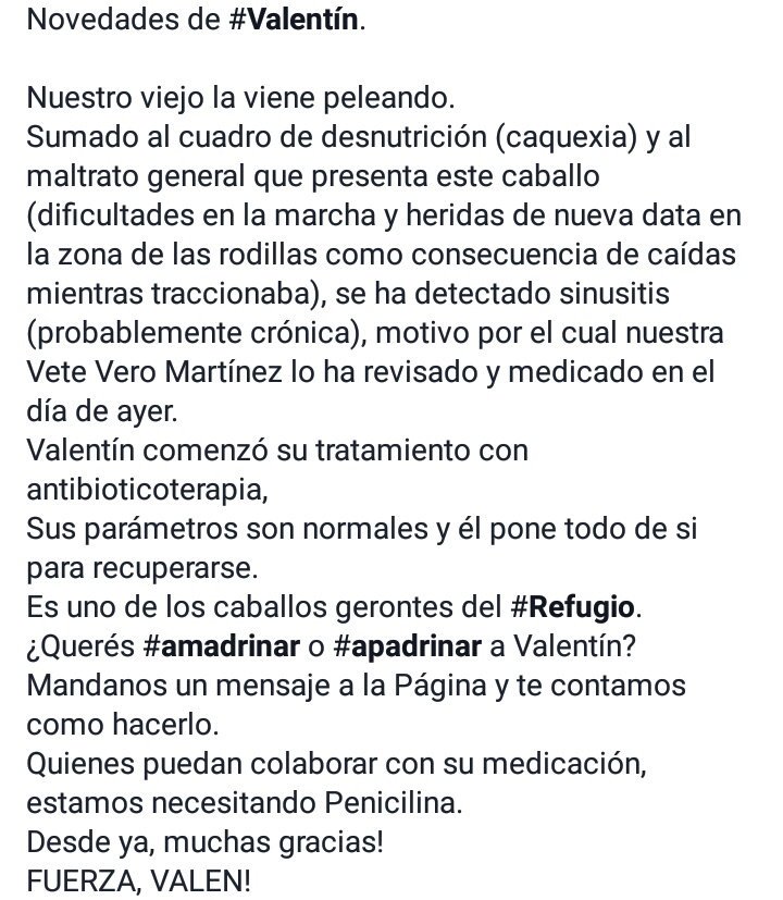 RescatistasSur's tweet photo. VAMOS VALENTÍN, VOS PODES! 🐴❤ https://t.co/X0TZYC4WP1