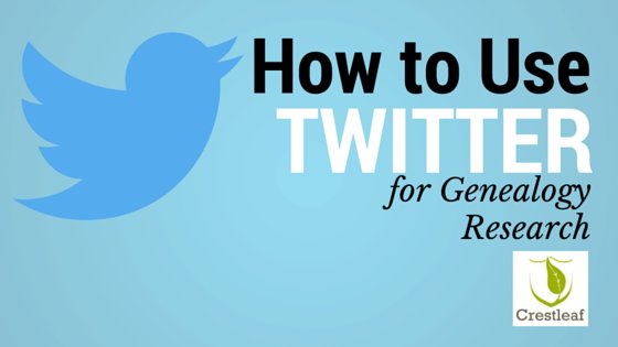 Crestleaf's tweet photo. How to use Twitter for #Genealogy research: https://t.co/CpE5T0aJmv #FamilyHistory https://t.co/NK5YSyV8zn