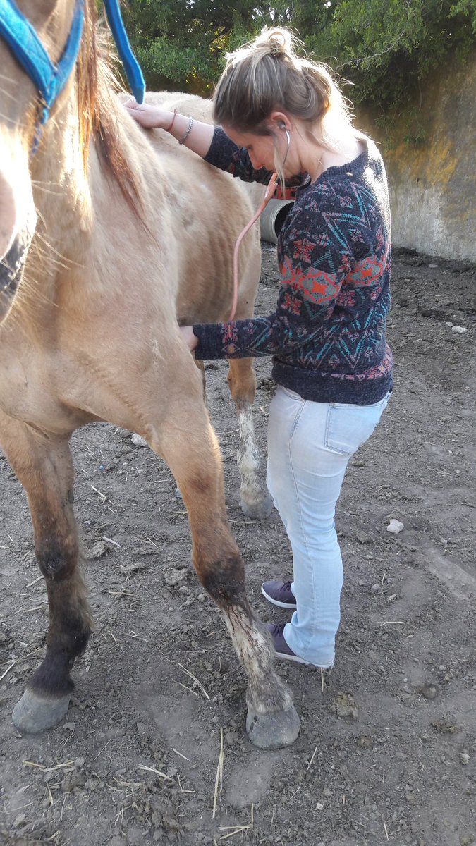 VAMOS VALENTÍN, VOS PODES! 🐴❤