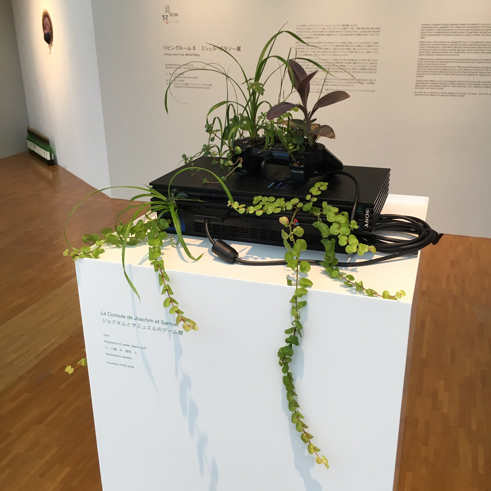 はむぞう ミシェル ブラジーさんの個展 リビングルームii で印象深かった作品 植物が育つスニーカーやゲーム機 紙にフェルトペン 漂白剤で描いた絵