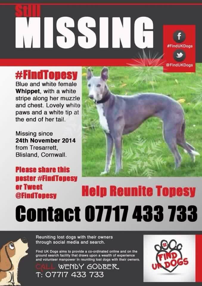 💔 Please RT #MissingTwoYears #FindTopesy #MissingDog #Tresarrett #Blisland #Cornwall 24.11.14 #scanme <a href="/FindTopesy/">Find Topesy</a> 💔