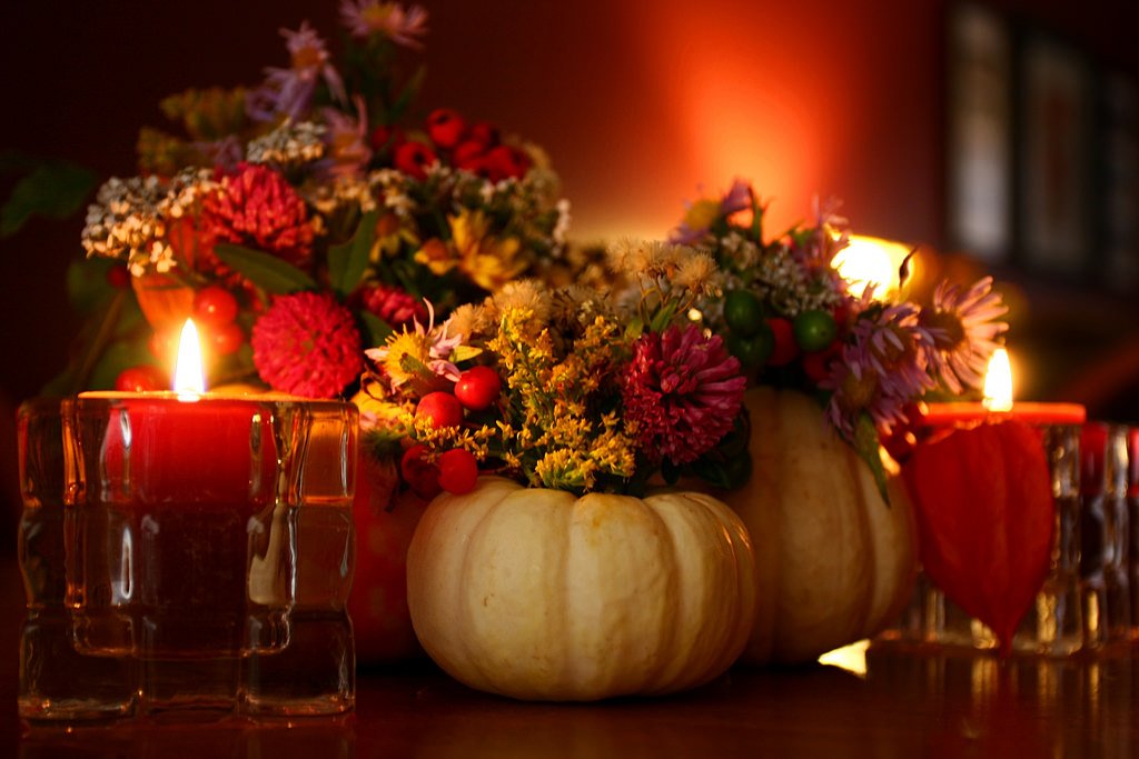 jenna4mmm's tweet photo. Happy #Thanksgiving! Wishing you a day surrounded with those you love. https://t.co/XeTed5NPdM