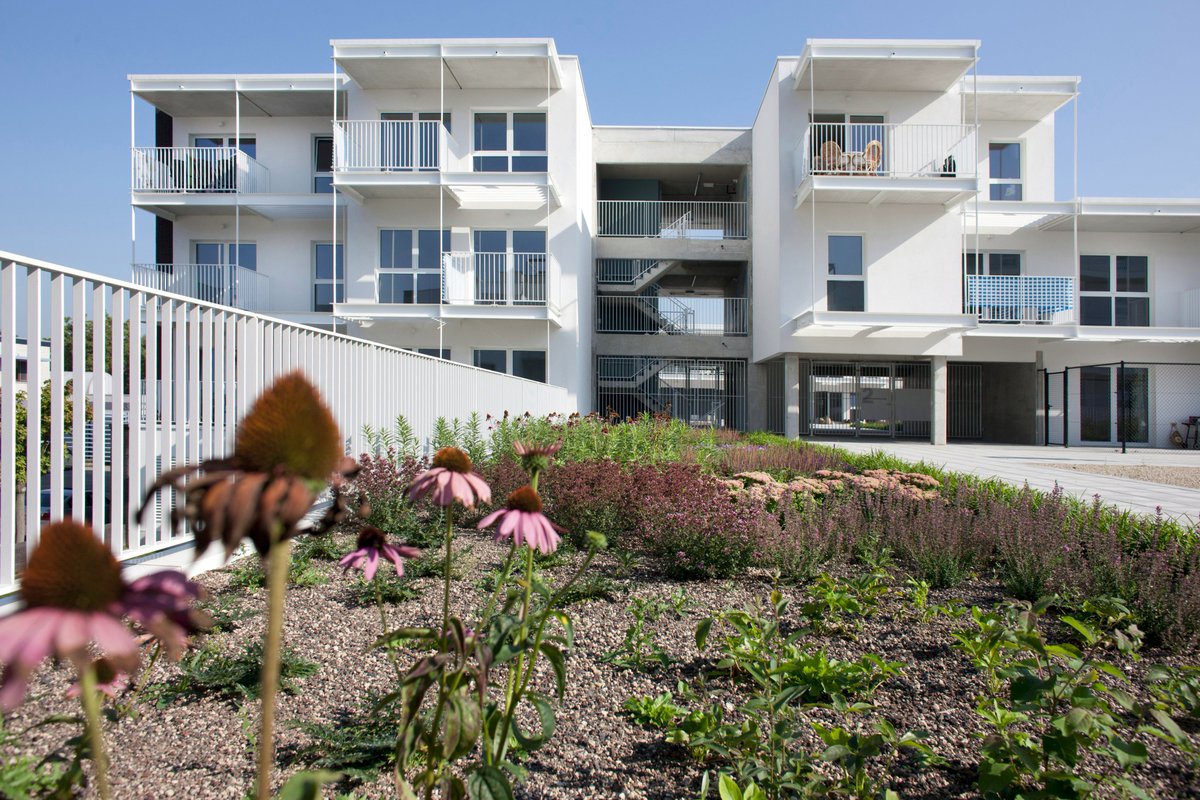 B2Ai_Office's tweet photo. Venning Kortrijk bekroond met European Responsible Housing Award. https://t.co/6A2BLbmcCb #Goedkopewoning https://t.co/VPV7i60gwY