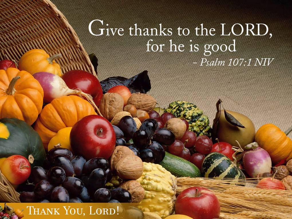 H_Conversations's tweet photo. Have a Happy &amp; Blessed Thanksgiving!
#HeavenlyConversations #Thanksgiving #Thankful #Blessed #Thanks #BibleQuotes #Bible #Psalms https://t.co/JOg4Ug32Wu