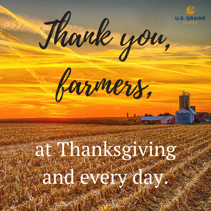 usgrainscouncil's tweet photo. Have a safe &amp; happy #Thanksgiving! https://t.co/HAbgZLYiLl