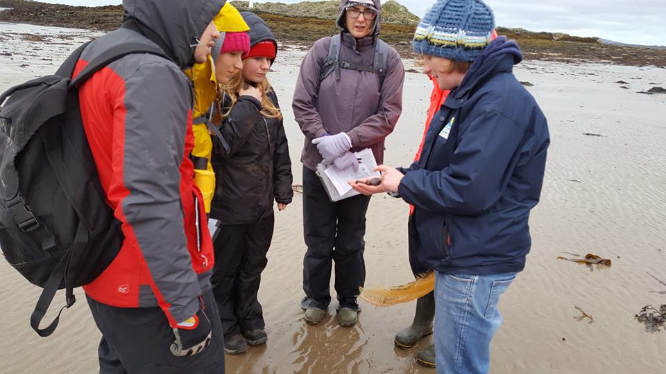 LivingSeasNW's tweet photo. Huge THANK YOU @North_Wales_WT @UnderwaterWales - introducing the Marine Trainees to Anglesey - amazing algae, wild waves &amp; super sea beans! https://t.co/9P3kXAWAAu