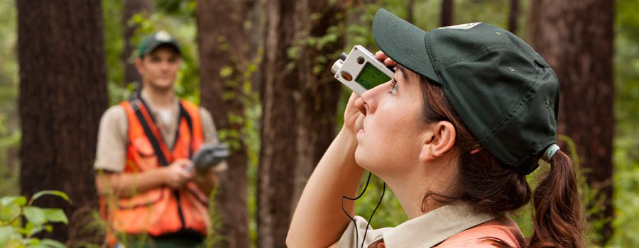 TXForestService's tweet photo. The Forest Inventory & Analysis Program has measured over 150 different tree species in Texas! #TexasFIA https://t.co/qnifxvWoFi