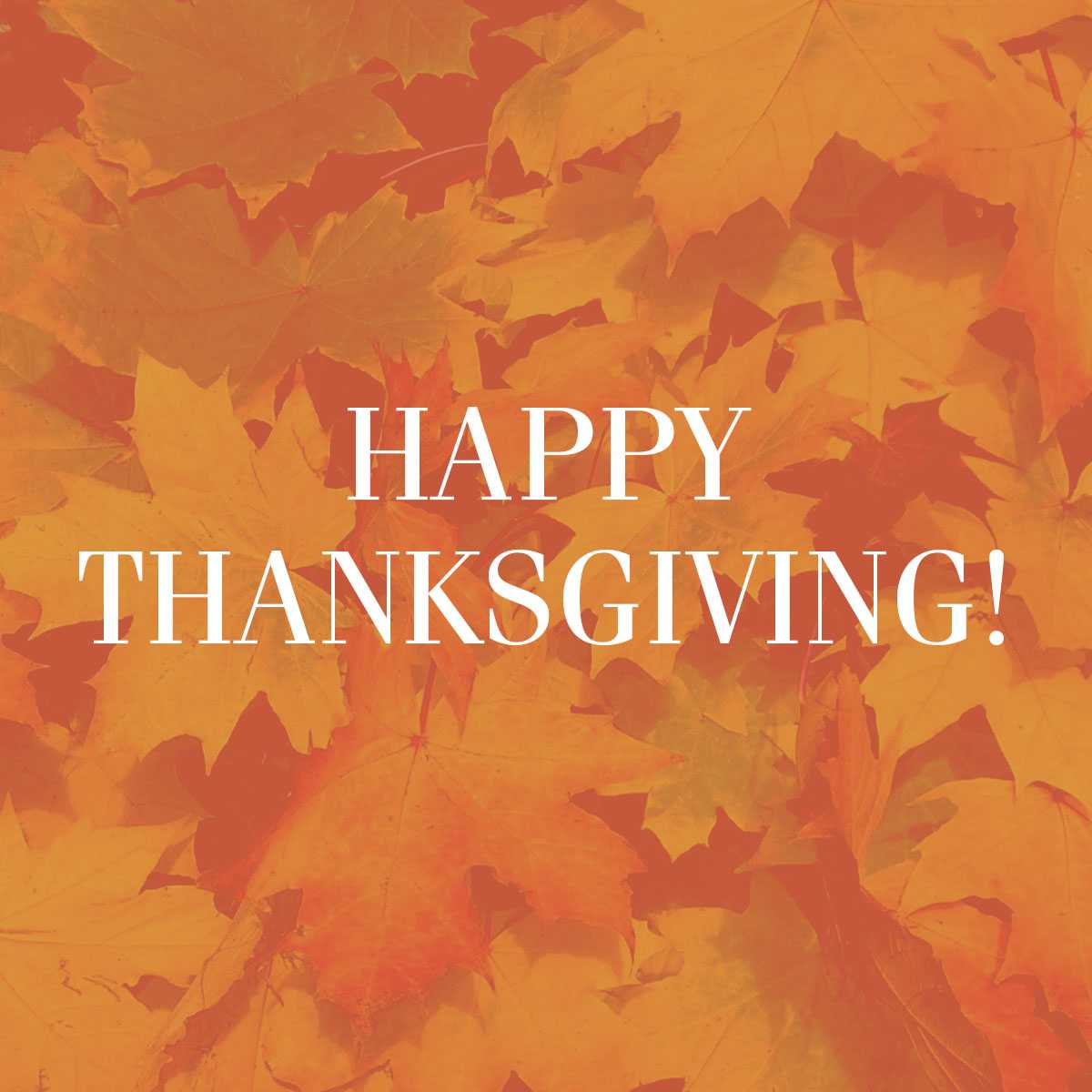 ElementsSoCbad's tweet photo. Happy Thanksgiving! https://t.co/zWdqvAD8PM