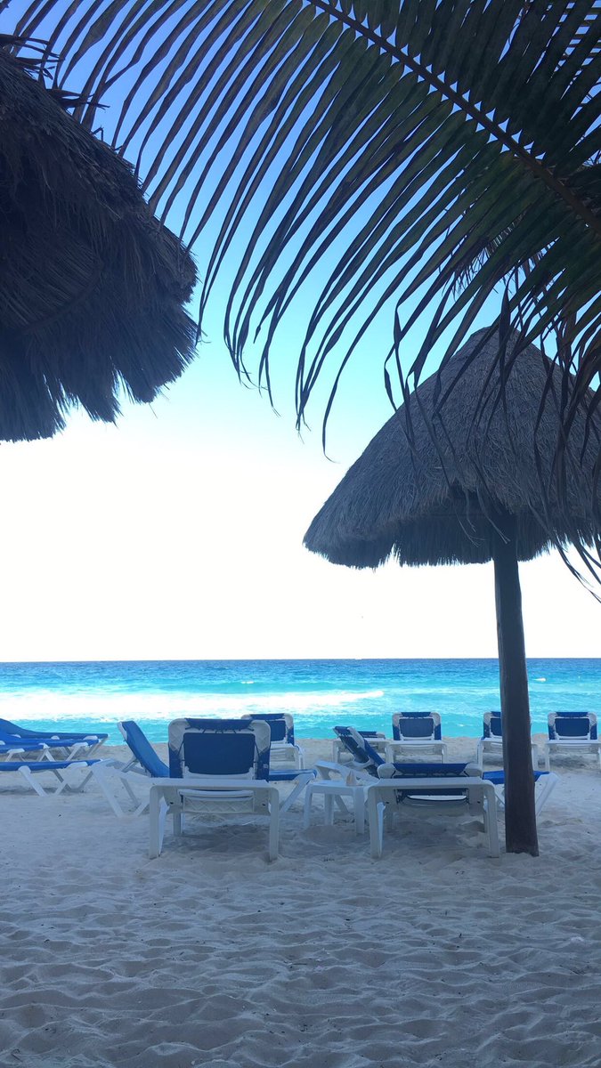 _mcee__'s tweet photo. Heaven on earth ✨🙌🏼 https://t.co/vJPOVdI2b3