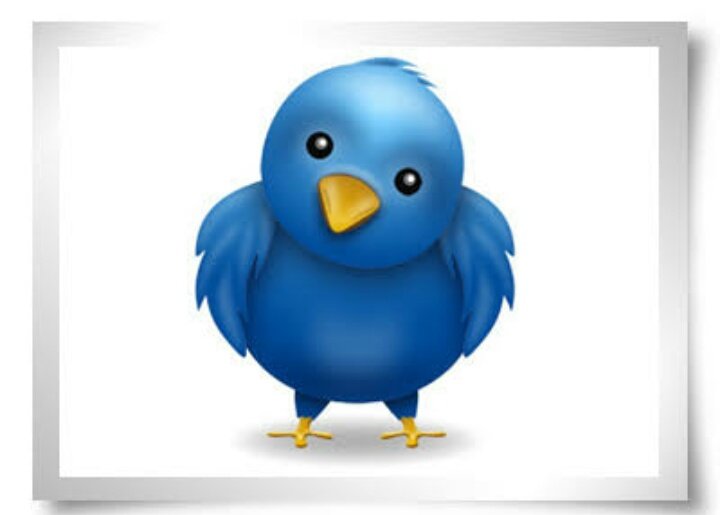 Tweet, termo em ingles que significa “gorjeio” ou “pio de passarinhos”.
Vamos piar!! Ops tweetar!!! Kkkk