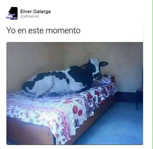bobkeko's tweet photo. #modoechado https://t.co/3weUL9LoEb