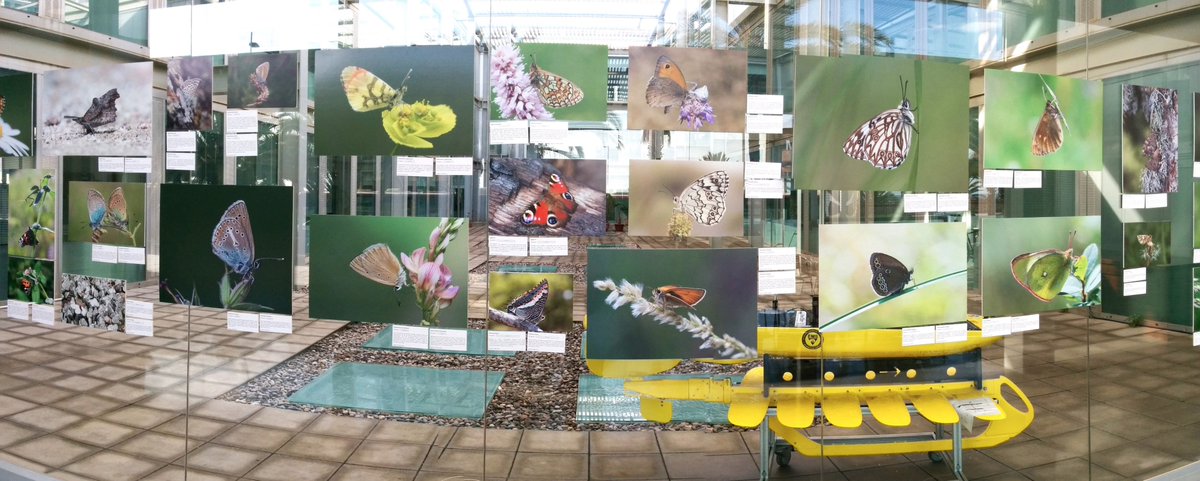 IBE_Barcelona's tweet photo. Recap of IBE participation in the #SC16cat: talks at schools, Open House, Scientific Film & Photo exhibition https://t.co/fCpEty5Di1 https://t.co/AxmlpJBHbi