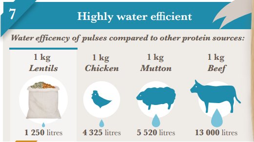 FAOKnowledge's tweet photo. #Pulses' small #water footprint makes their production a smart choice https://t.co/WoqDFCe69z #IYP2016 #climatechange https://t.co/JNrgFEEQmt