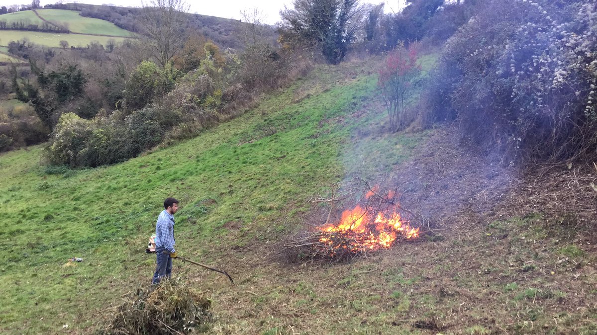 EmmaAckerley27's tweet photo. Enjoyed clearing blackthorn and hawthorn encroachment today with @avonwt #wildflowermeadow #wegongetcha' https://t.co/YXJ0ih5aX8