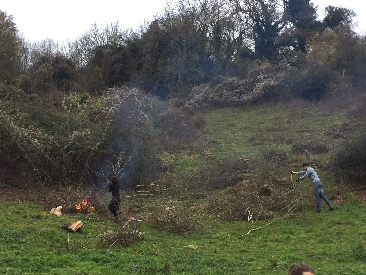 EmmaAckerley27's tweet photo. Enjoyed clearing blackthorn and hawthorn encroachment today with @avonwt #wildflowermeadow #wegongetcha' https://t.co/YXJ0ih5aX8
